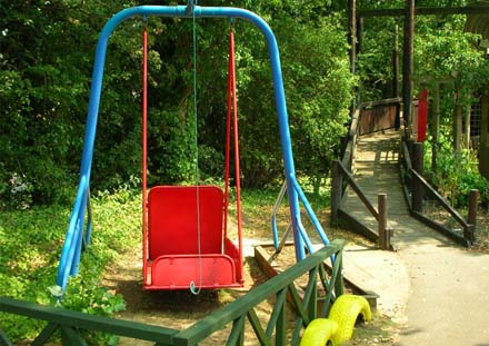 Wheelchair swing at TVAP